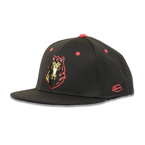 Billings 2024 mustangs hat